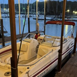 Slip Improvement · Dock 17, Slip 1&2 — 50′ covered — photo 7