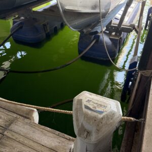 Slip Improvement · Dock 14, Slip 24R — 32′ covered — photo 4